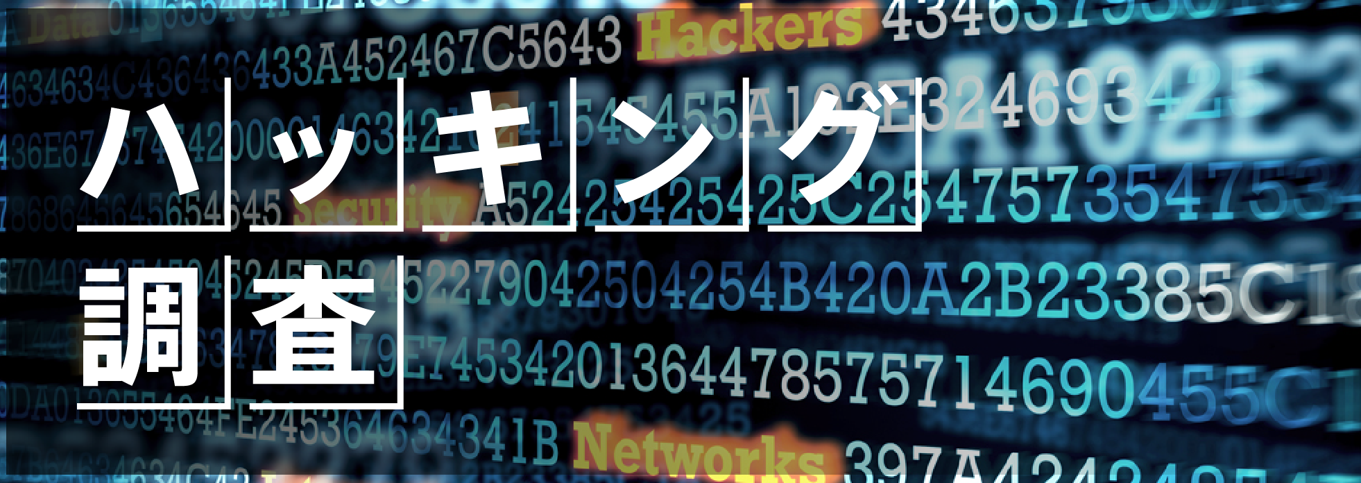 ハッキング調査